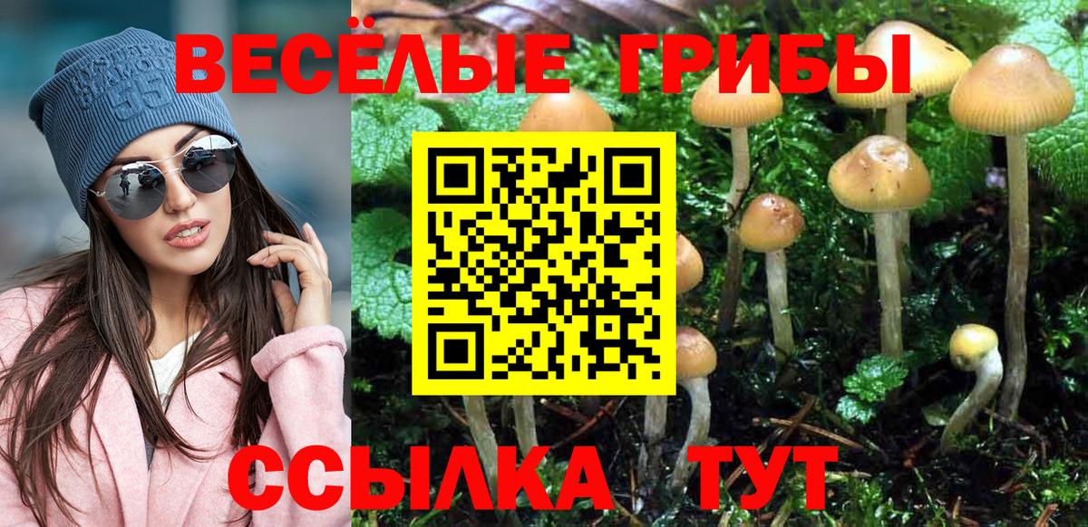 Луховицы  где купить   Вход с VPN  Псилоцибиновые грибы Psilocybine cubensis 